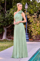 Ladivine CD415 One Shoulder Pleated Luminescent Chiffon Flowy Gown